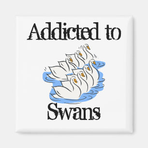 Swans Magnet