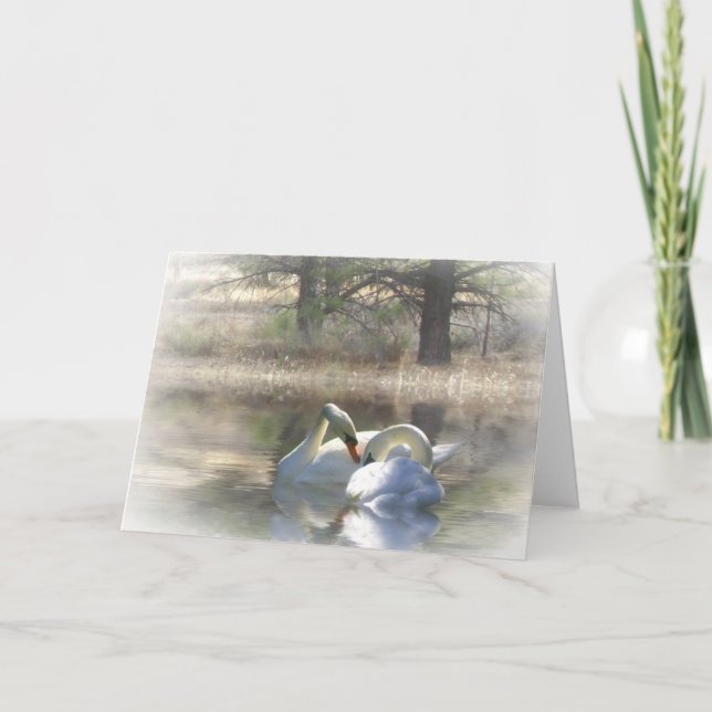 Swans Merry Christmas Card (Front)