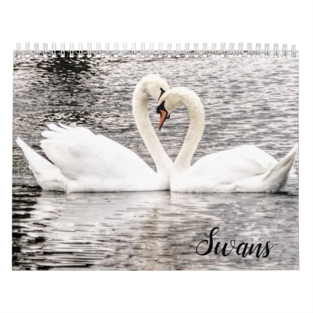 Swans of Spring Grove  Calendar (Cover)