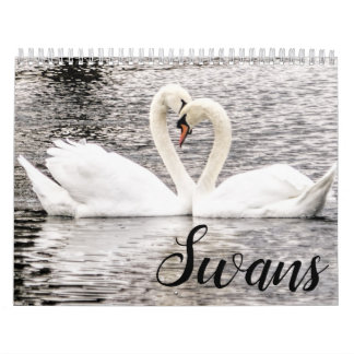 Swans of Spring Grove Calendar