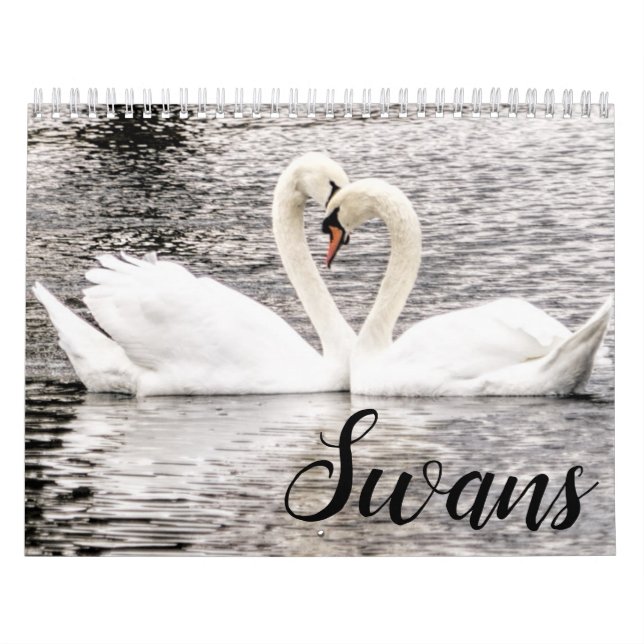 Swans of Spring Grove  Calendar (Cover)