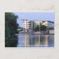 Swans on River Barrow, Carlow Town, Ireland