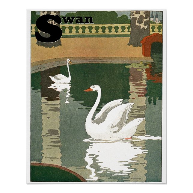 Swans on the Lake Alphabet Letter Perfect Poster (Front)
