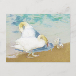 SWANS POSTCARD