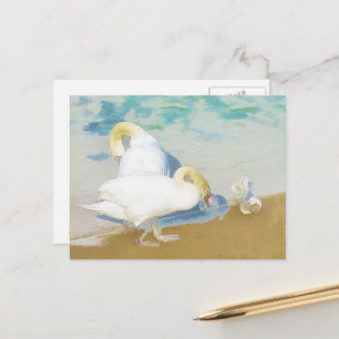 SWANS POSTCARD