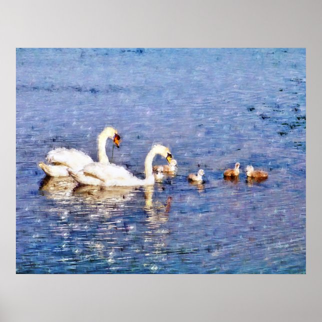 SWANS POSTER (Front)