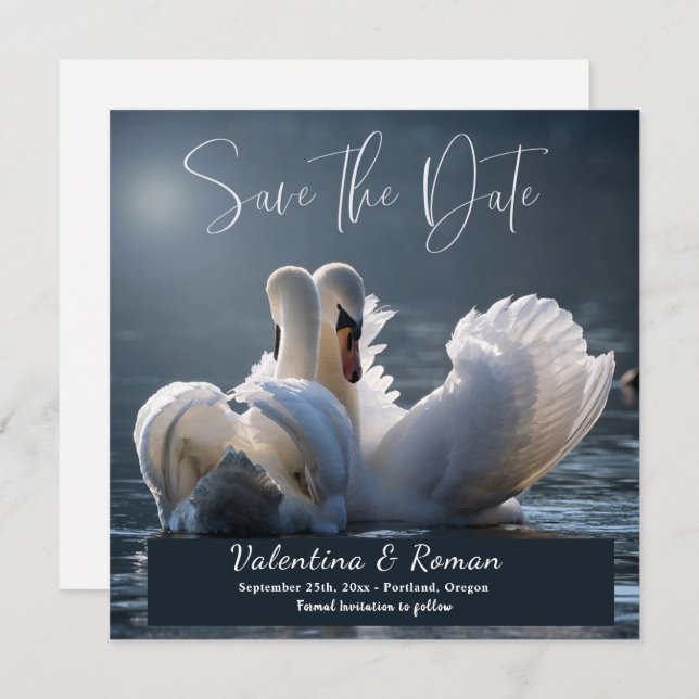 Swans Save the Date Announcement (Front/Back)