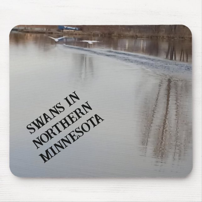 Swans Taking Off in Flight Mouse Pad (Front)