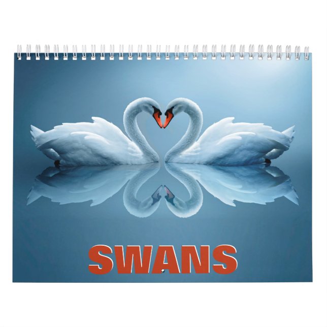 Swans Wall Calendar (Cover)