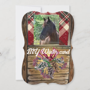 swap out picture cute stall horse holiday card