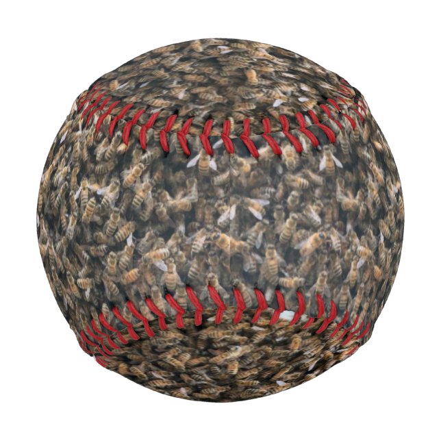 Swarm Baseball (Front)