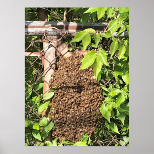 Swarm of Bees Poster
