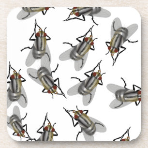 Swarm of Flies Coaster