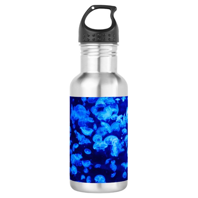 Swarm of Jellyfish 532 Ml Water Bottle (Front)