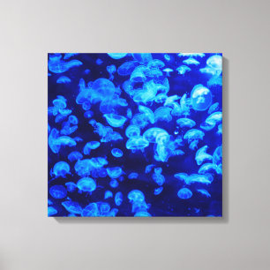 Swarm of Jellyfish Canvas Print