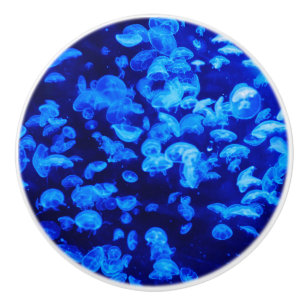 Swarm of Jellyfish Ceramic Knob