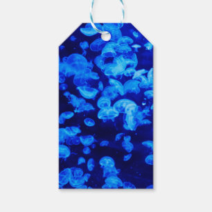 Swarm of Jellyfish Gift Tags