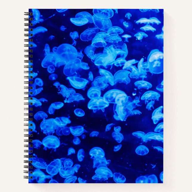 Swarm of Jellyfish Notebook (Front)