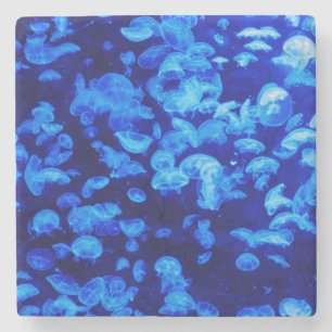 Swarm of Jellyfish Stone Coaster