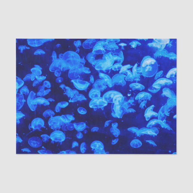 Swarm of Jellyfish Tissue Paper (Front)