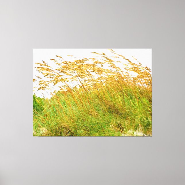 Swaying Grasses in the Breeze Canvas Print (Front)