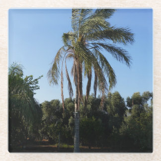 Swaying Palm Tree Under a Clear Sky Glass Coaster