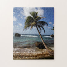 Swaying Palms, Soup Bowl, Bathsheba, Barbados