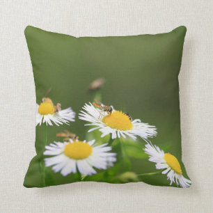 Sweat Bee Cushion