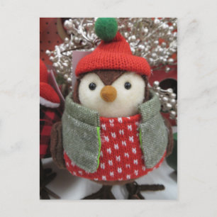 Sweatered Sparrow Postcard