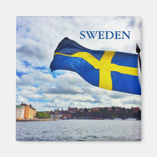 Sweden flag magnet