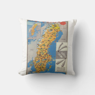 Sweden Map Cushion