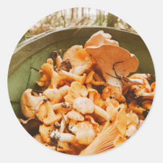 Swedish Archipelago Mushroom Foraging Photo Classic Round Sticker