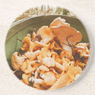 Swedish Archipelago Mushroom Foraging Photo Coaster