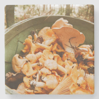 Swedish Archipelago Mushroom Foraging Photo Stone Coaster