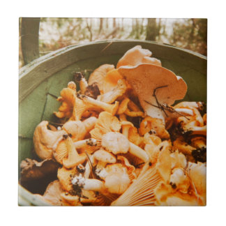 Swedish Archipelago Mushroom Foraging Photo Tile
