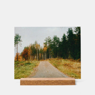 Swedish Autumnal Forest Acrylic Sign