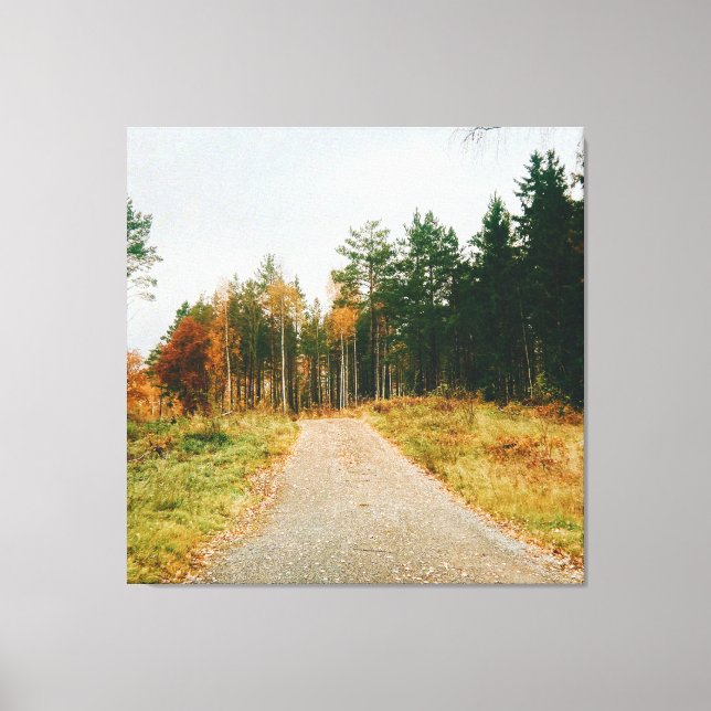 Swedish Autumnal Forest Canvas Print (Front)