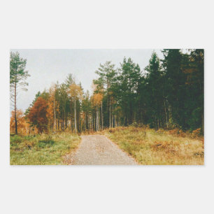 Swedish Autumnal Forest Rectangular Sticker
