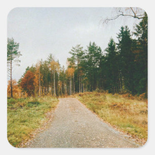 Swedish Autumnal Forest Square Sticker
