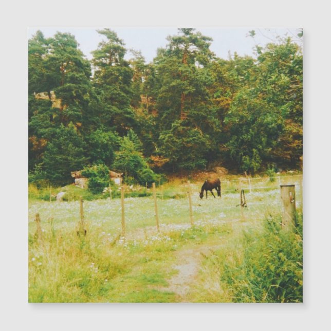 Swedish Countryside (Front)