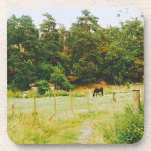 Swedish Countryside Coaster