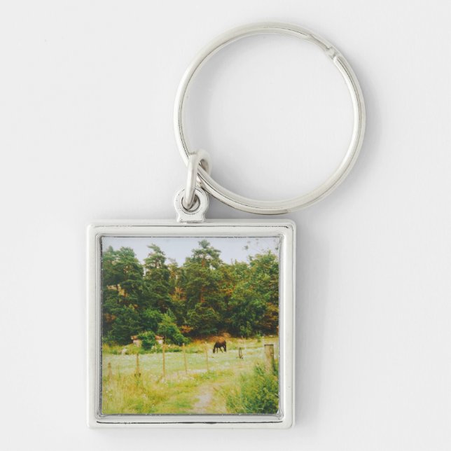 Swedish Countryside Key Ring (Front)