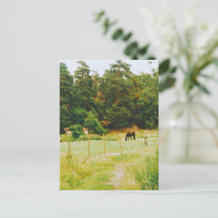 Swedish Countryside Postcard