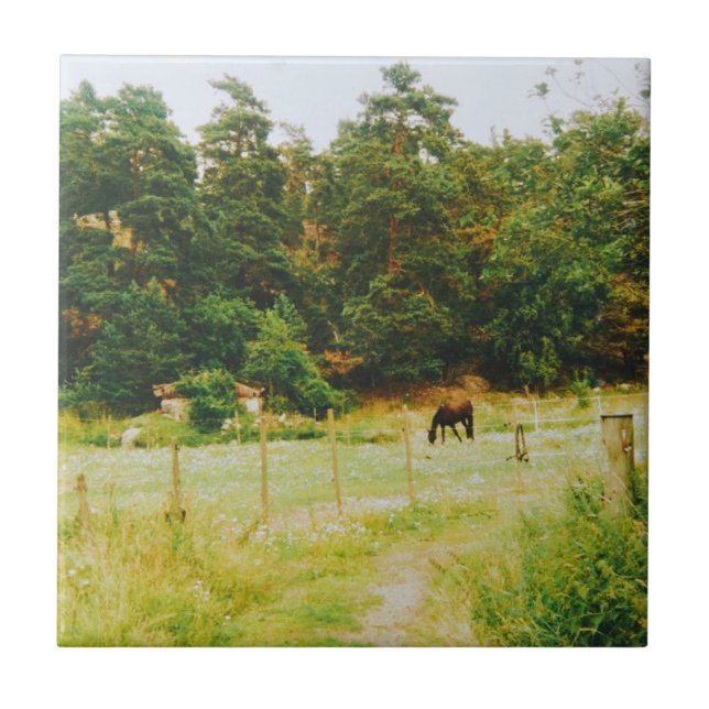 Swedish Countryside Tile (Front)