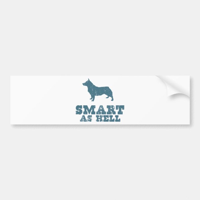 Swedish Vallhund Bumper Sticker (Front)