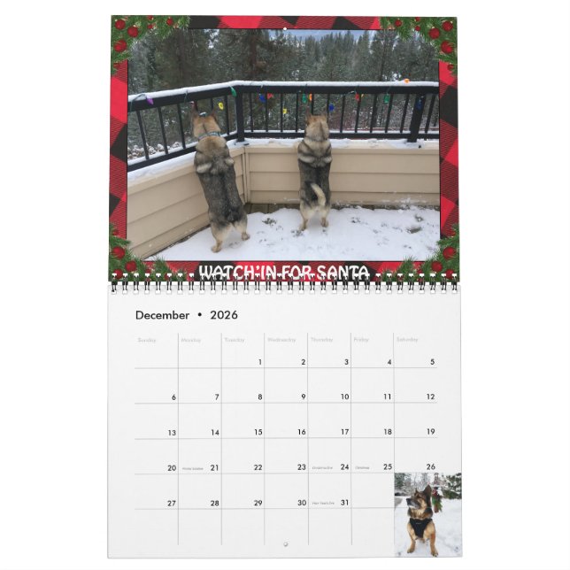 Swedish Vallhund Calendar (Dec 2026)