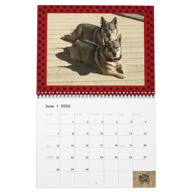 Swedish Vallhund Calendar 2024* (Jun 2026)