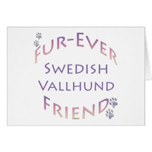Swedish Vallhund Furever Friend