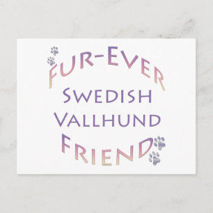 Swedish Vallhund Furever Friend Postcard