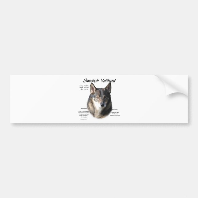 Swedish Vallhund History  Bumper Sticker (Front)